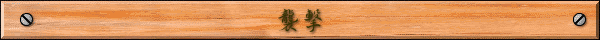 襲撃