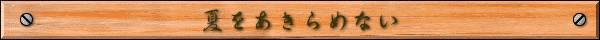 夏をあきらめない